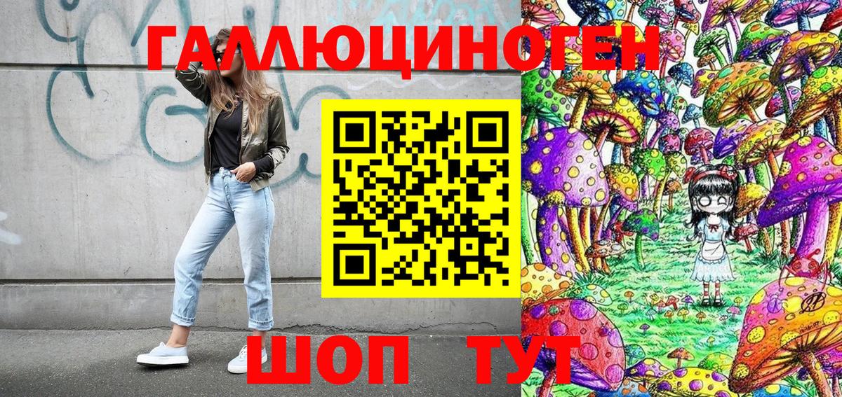 Тында  Галлюциногенные грибы прущие грибы  Вход с VPN  дарнет шоп  Псилоцибиновые грибы Cubensis 